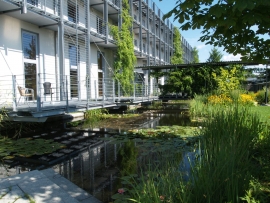Eine ausreichende grüne Versorgung ist bei intelligenter Planung auch mit weniger Fläche machbar. (Foto: LWG Veitshöchheim)
