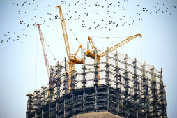 Ergebnisse der ersten bundesweiten Umfrage von BIngK und BAK zu den Folgen der Corona-Epidemie 