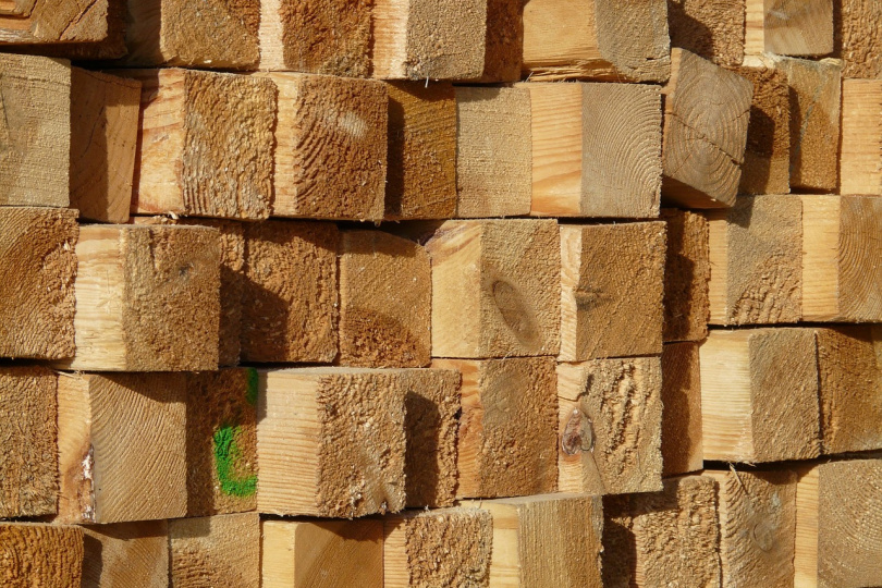 BDB fordert Einschränkung des klimaschädlichen Holzexports