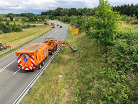 Mehr Artenschutz an Bayerns Straßen: Bienen-Highways werden erweitert