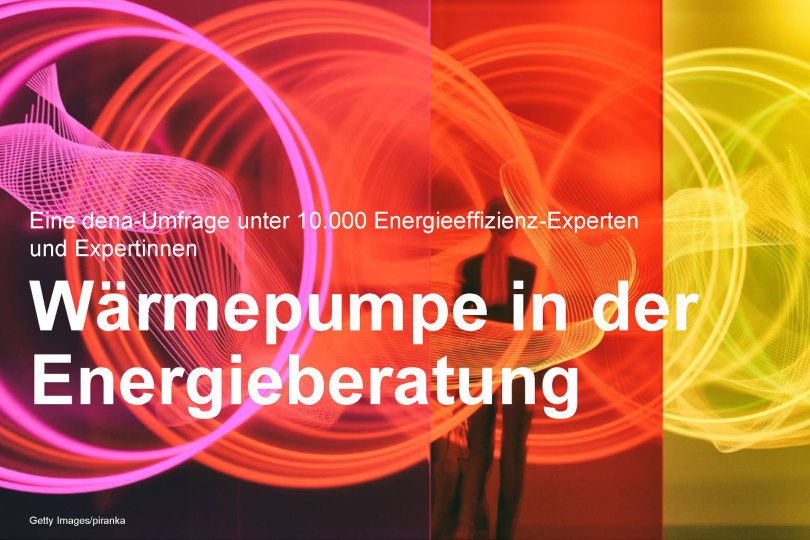 Dena Experten-Umfrage zeigt: Hauseigentümer wollen Wärmepumpen