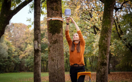 Sophie Arzberger montiert eine Klimastation an einen Baum im Münchner Olympiapark. Das Gerät misst Lufttemperatur und -feuchte. Foto: Sebastian Kissel / TUM
