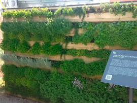 Die vertikalen Begrünungssysteme sind flexibel und modular einsetzbar. © Biolit Green Systems GmbH