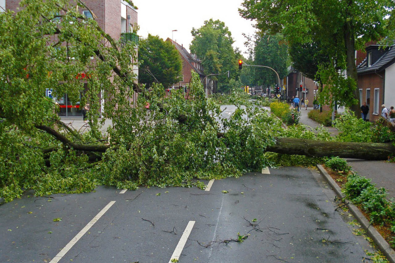 Umgestürzter Baum nach Unwetter. Foto: Jan Mallander / pixabay,de