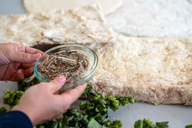 In einem ersten Schritt im Herstellungsprozess der Baumaterialien werden die Fasern der Hopfenreben mechanisch getrennt. Durch weitere chemische Aufbereitung stellt HopfON Panels her, die als akustische Dämmstoffe dienen. Foto: Astrid Eckert / TUM