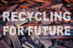 Recycling for Future: Bauen mit Altholz 