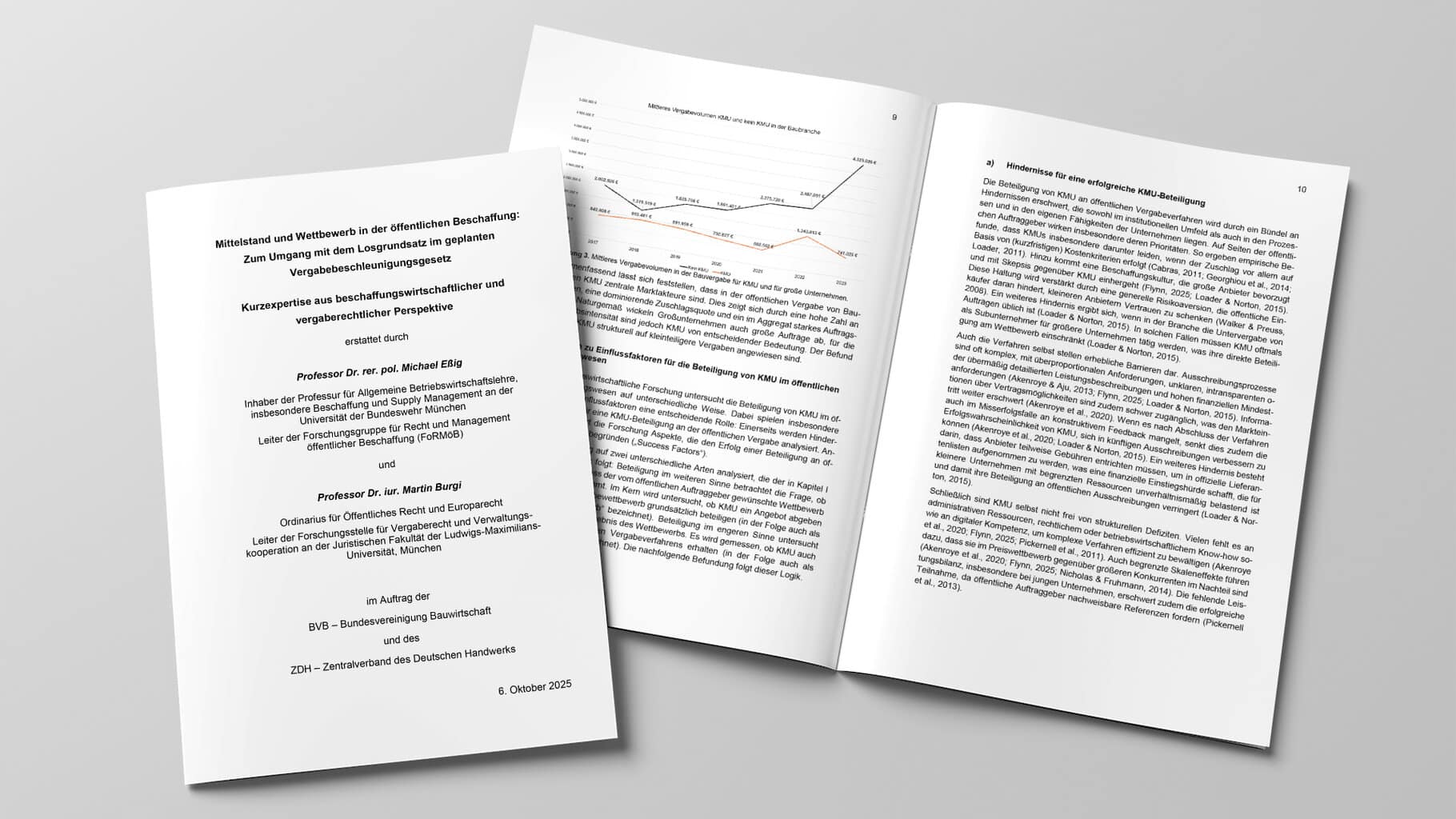 Expertengutachten zum Losgrundsatz bei der öffentlichen Beschaffung (PDF)
