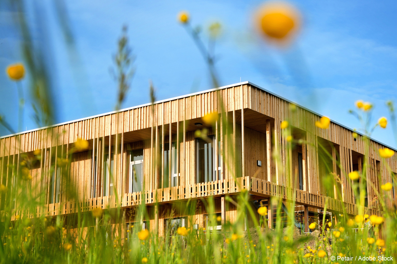 Musterschulbaurichtlinie: Deutsche Holzindustrie warnt vor massiven Kostensteigerungen beim Schulbau