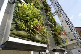 Detailaufnahme des Prototyps der „vertikalen Klimakläranlage“ (VertiKKA). © Dana Höftmann