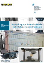 Download (PDF)