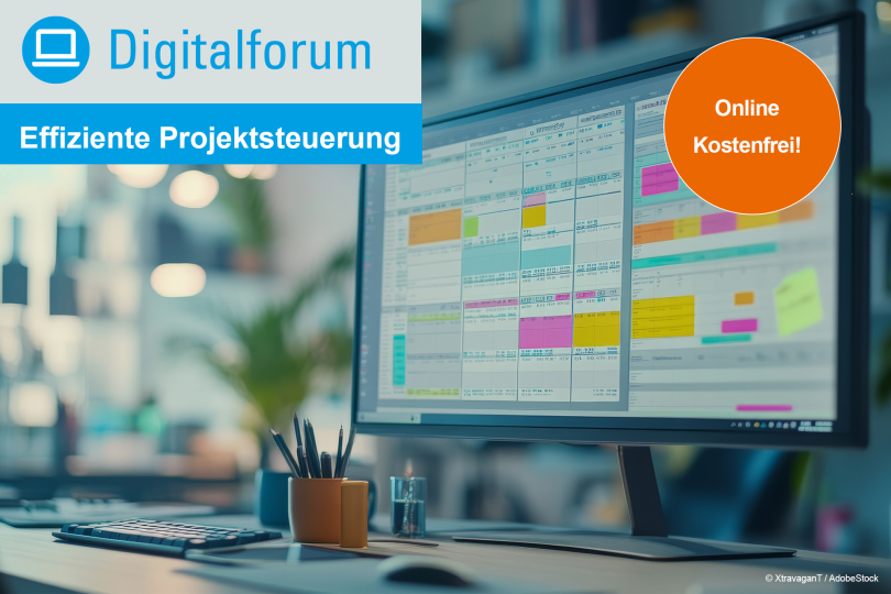 Effiziente Projektsteuerung: Herausforderungen und Lösungen - 24.07.2025 - Online - Kostenfrei!