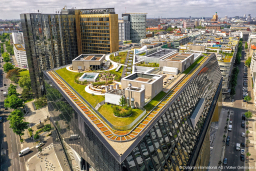 Die Stadt von morgen – grüne Dächer als Baustein für eine gesunde und nachhaltige Stadtentwicklung 