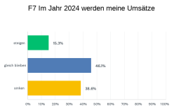 Umsatzentwicklung für 2024