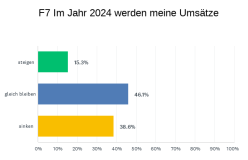 Erwartung Umsatzentwicklung 2024