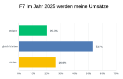 Erwartung Umsatzentwicklung 2025