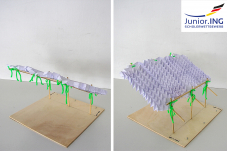 Knick it Familie Dang Antoine Dang